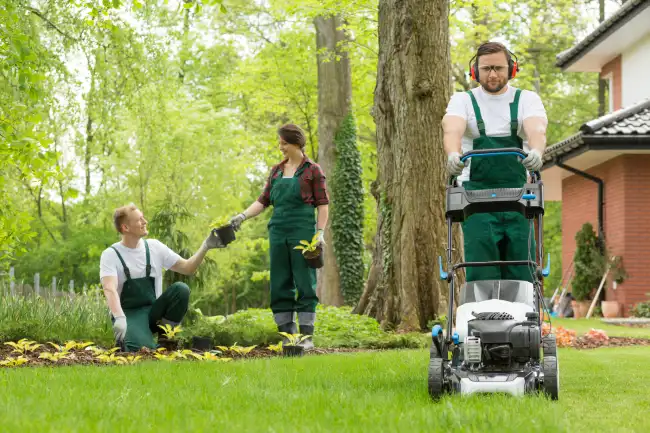 Reliable lawn mowing in Manchester, NH