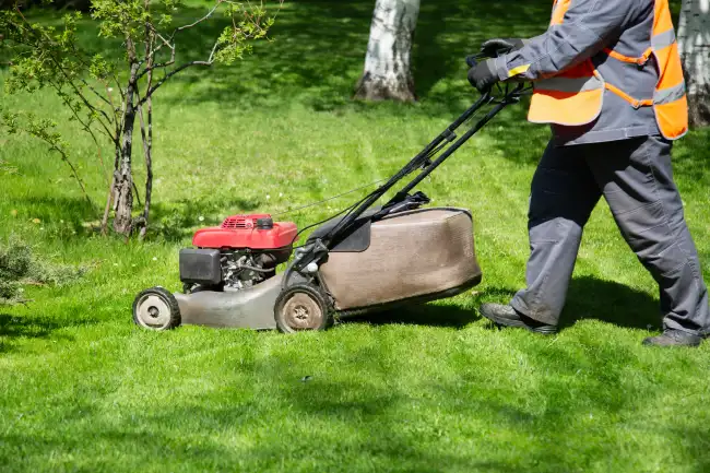 Lawn Mowing