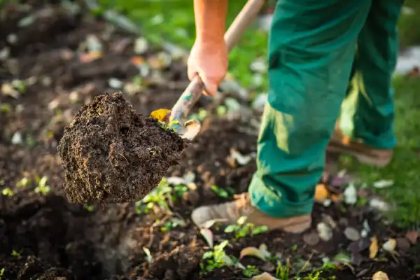 Professional mulching in Manchester, NH