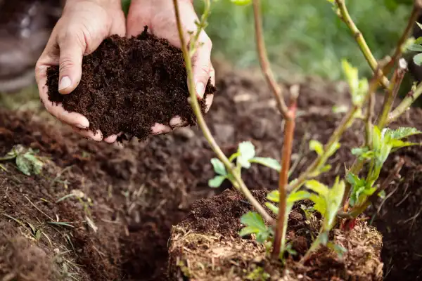 Affordable mulching in Manchester, NH