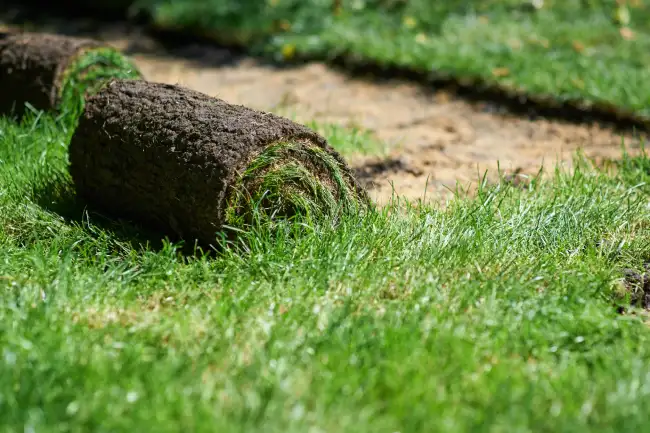 Professional sod installation in Manchester, NH