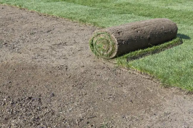 Reliable sod installation in Manchester, NH