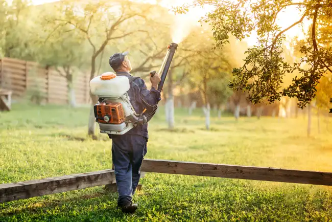 When is the best time to fertilize your lawn in Manchester, NH