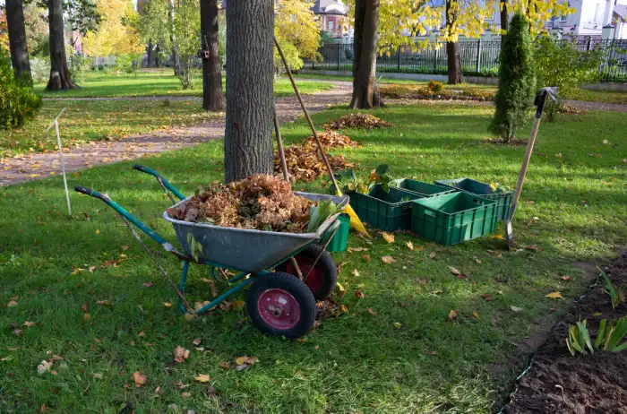 Reliable yard cleanup in Manchester, NH