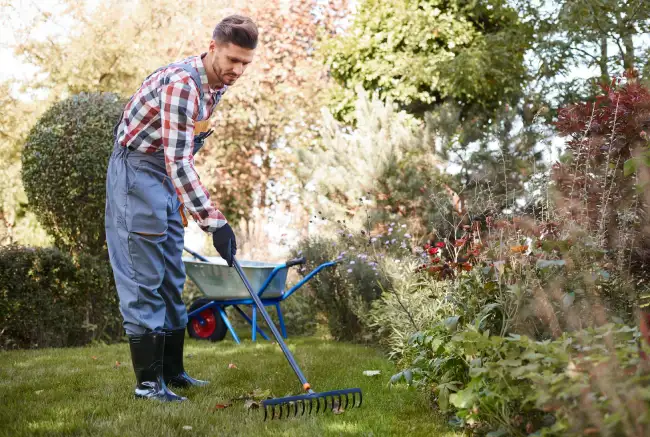 Professional yard cleanup in Manchester, NH