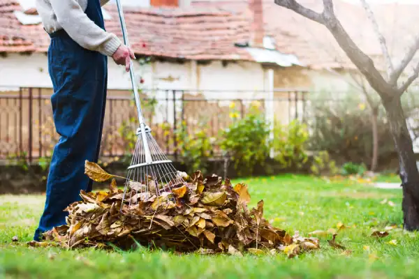 Yard Cleanup